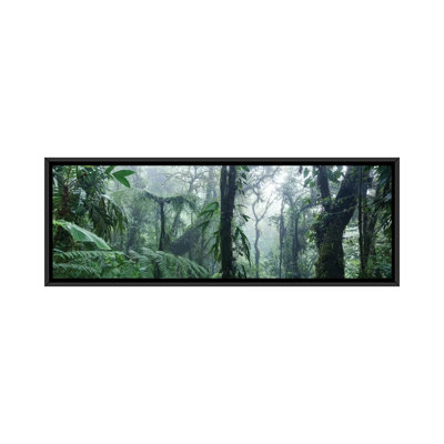 « monteverde cloud forest panorama, costa rica » par matteo colombo, impression sur toile