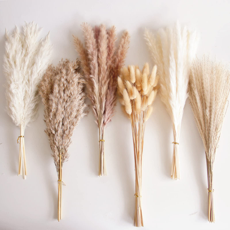 Pampa Arrangement