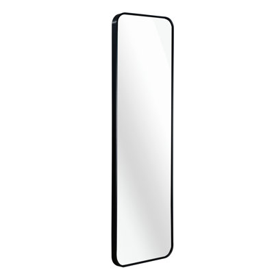 47 X 14IN Door Mirror.