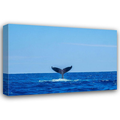 Breakwater Bay Engelbrecht, Jim Gallery Wrapped Canvas Art Titled: Humpback whale tail