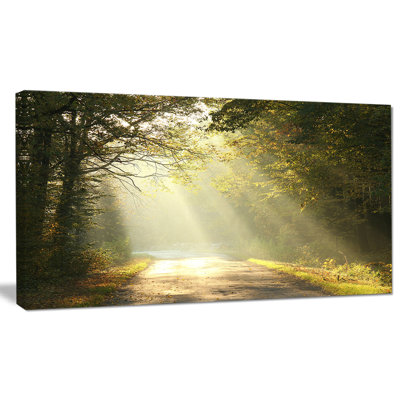 " Bright Sunbeams To Fall Forest "