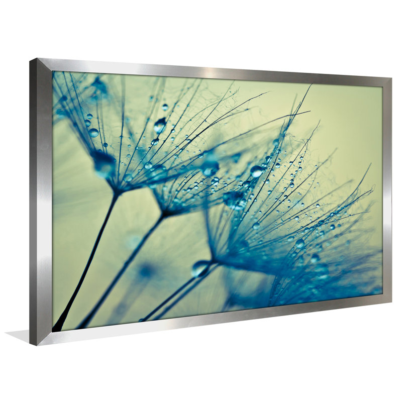 « fleur water gouttelettes 3 », reproduction de photo encadrée, H 35,5 po x l 51,5 po x P 0,75 po