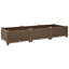 Dakota Fields Raised Bed Polypropylene-857146877-857146876