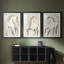 ANIMALS Series CECLXVI - Impression sur mesure encadrée de qualité supérieure - 3 pièces-2081959055-2081959049
