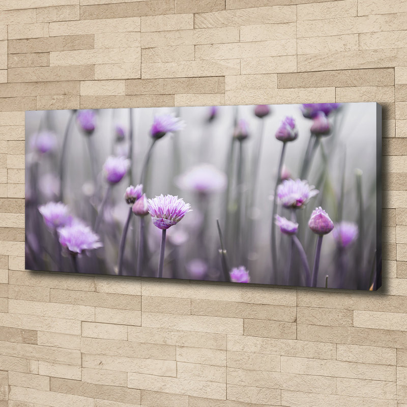 Flowers Of Chives - Wrapped Canvas Print, Canvas, 50cm H x 125cm W