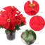 Poinsettia Stem - Lifelike Artificial Flower with Vibrant Red Blooms, Holiday & Christmas Decor-124928054