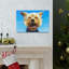 No Frame Print on Canvas-2146208221