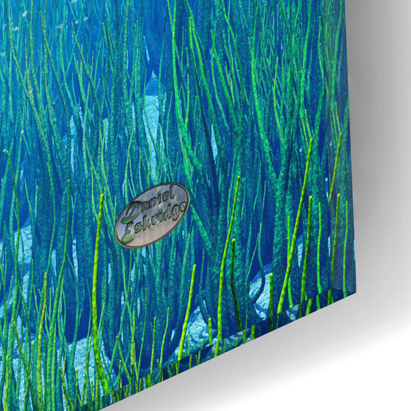 On Plastic/Acrylic Print, 16" H x 12" W x 0.13" D