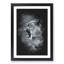 Fierce Lioness - Framed Print-56841707-56841708