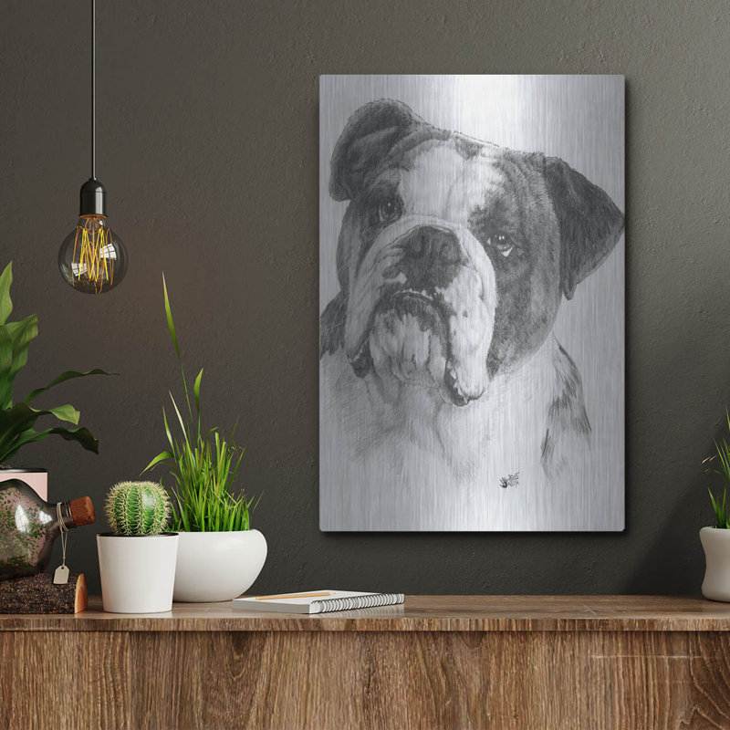 «American Bulldog» par Barbara Keith, H 16 po x l 12 po
