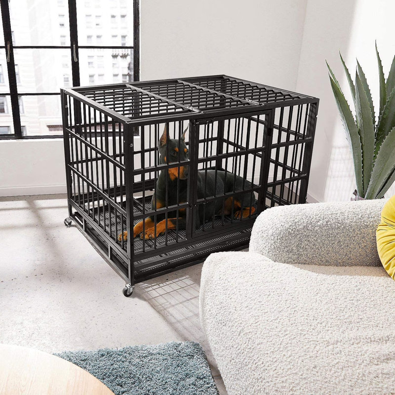  Cage pour chien robuste avec roues verrouillables 48/42/38 pouces Adrihana, grand chenil d'intérieur avec plateau amovible