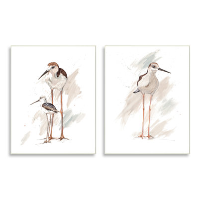 Bécasseau, famille d'oiseaux, plage ensoleillée, Patricia Pinto