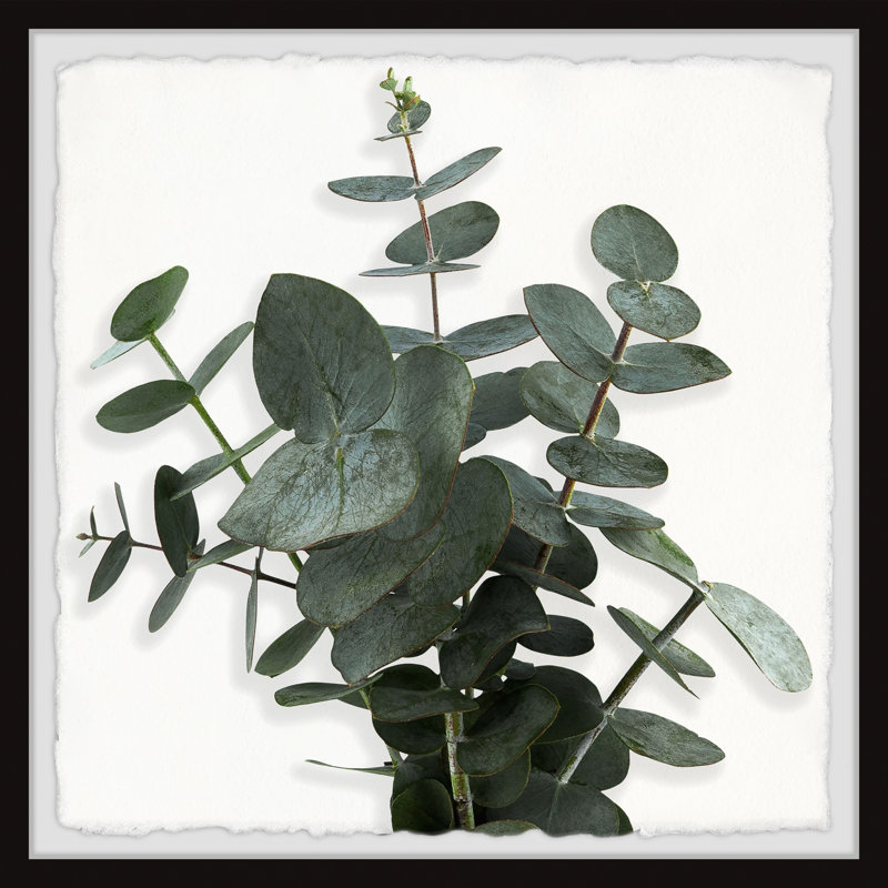 Eucalyptus Leaves - Single Picture Frame Painting, 45cm H x 45cm W x 3.81cm D