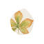 Autunno Handmade Terra Bianca