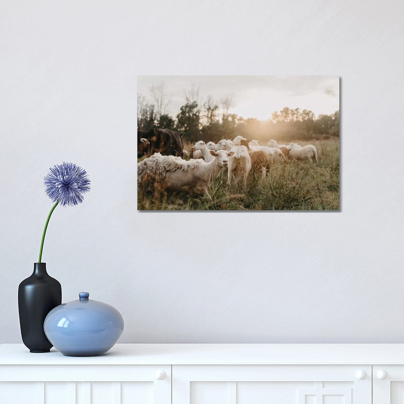 «Sheep in the Field» par Chelsea Victoria - photographie sur toile tendue, H 12 po x l 18 po x 1,5 po
