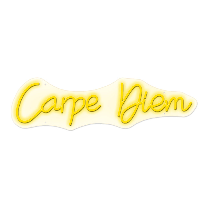 Enseigne néon Carpe Diem - 8 po x 28 po