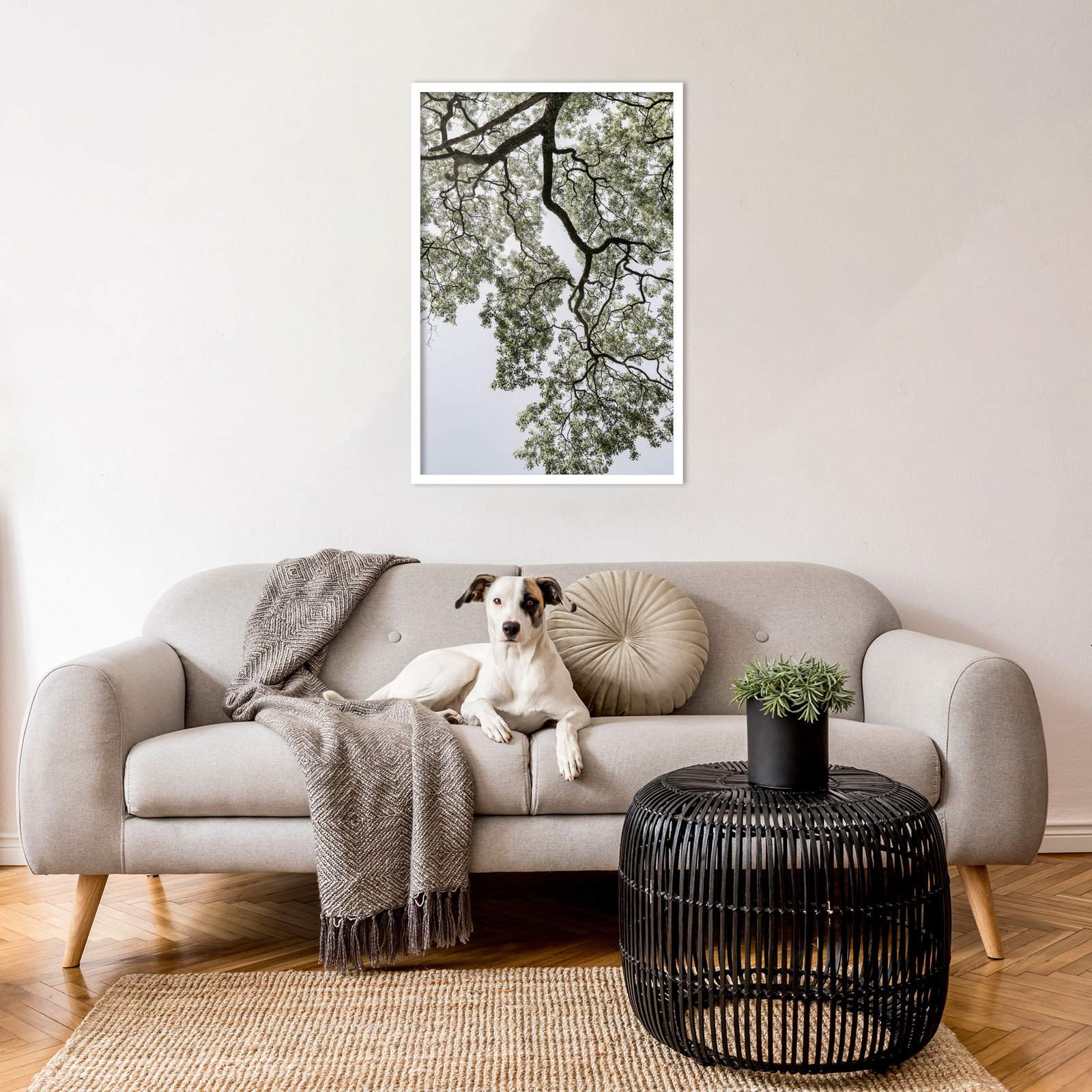 Pleasantville "Coastal Forest" Print, White, 33" H x 23" W