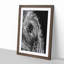 Watchful Elephant - Framed Print-55612204-55612205