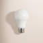Maude 14 Watt LED Bulb-1974566177-1881569488