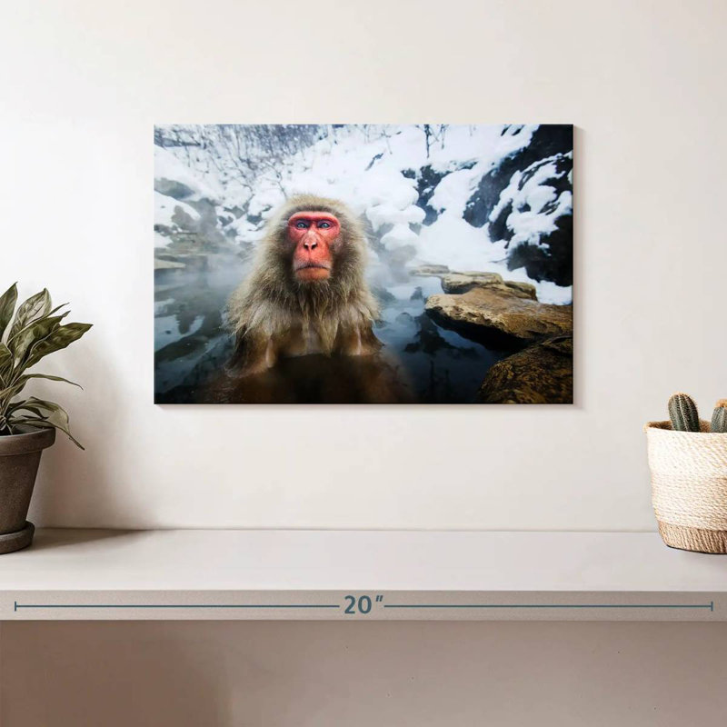 Singe des neiges japonais Brampt, H 8 po x l 12 po