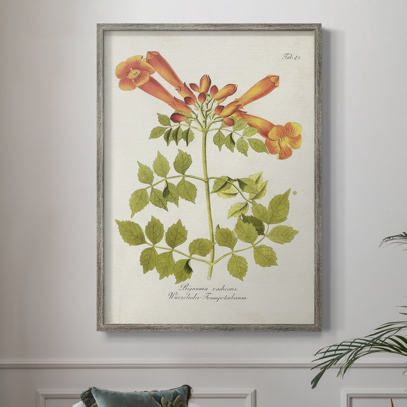 «Tropical Trumpet Flowers III», reproduction encadrée - bois massif, H 30 po x l 24 po