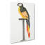A Perched Parrot by Johan Teyler - Wrapped Canvas-55368304