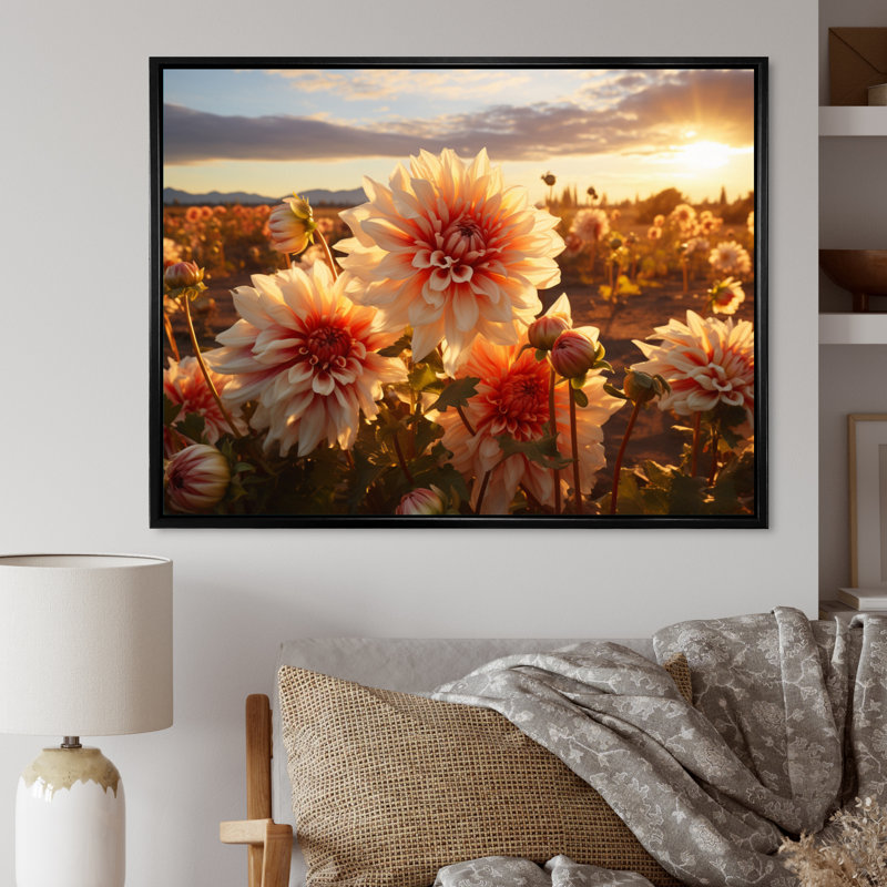 Dahlia champ au coucher du soleil - impression, H 12 po x l 20 po, Gold Picture Framed