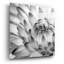 «Lark Manor ™« Fibonacci 2 »par Photoinc Studio, art mural en verre acrylique-1788945701