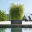 Trio Planter Box-16493114-16493113