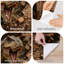 Papier peint adhésif pelez et collez T Rex Dinosaur Breaking Brick Wall Explosive Action Wall Art Auto-adhésif et amovible-380521627