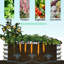 Jardinière surélevée galvanisée-1072418928-1062180529