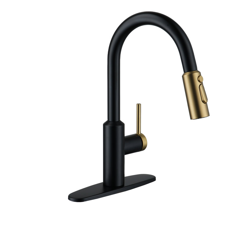 Boyel Living Kitchen Faucet, Matte Black/Brushed Gold