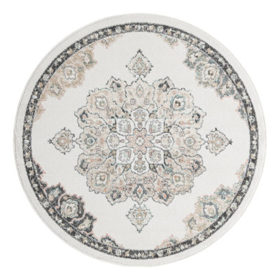 Oriental Indoor Rug