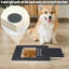 Grattoir pour chien