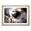 Face of a Giraffe - Picture Frame Graphic Art Print-55726704-55726707