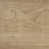 Antique Beige