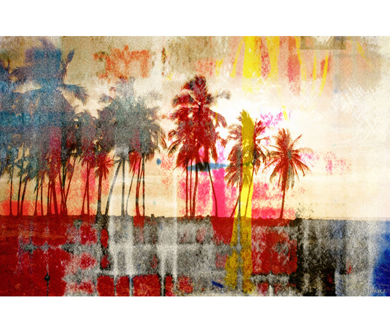 Parvez Taj - Wrapped Canvas Print, 101cm H x 152cm W x 5cm D