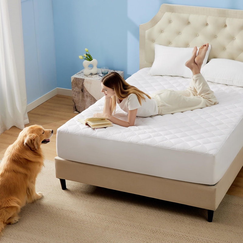 Bedsure Quilted Waterproof Mattress Protector, Queen, White