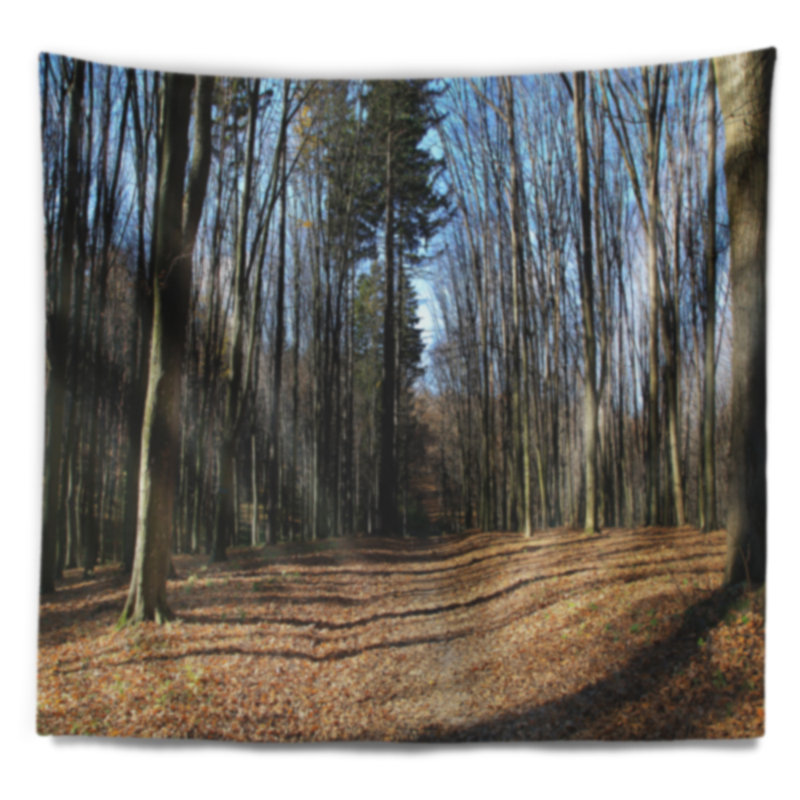 Tapisserie forêt automne dans la lumières du soleil et des ombres, H 50 po x l 60 po