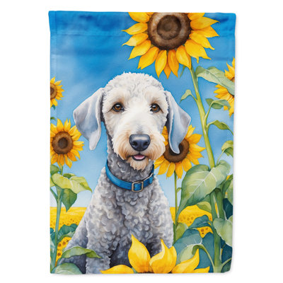 Drapeau de la maison du tournesol Malamute d'Alaska