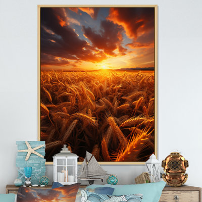 Benica " Golden Fields A Mesmerizing "