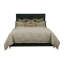 Lorenzo Bedset-1922313736