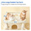 Danniela 77.6'' H Cat Tree-1191159428