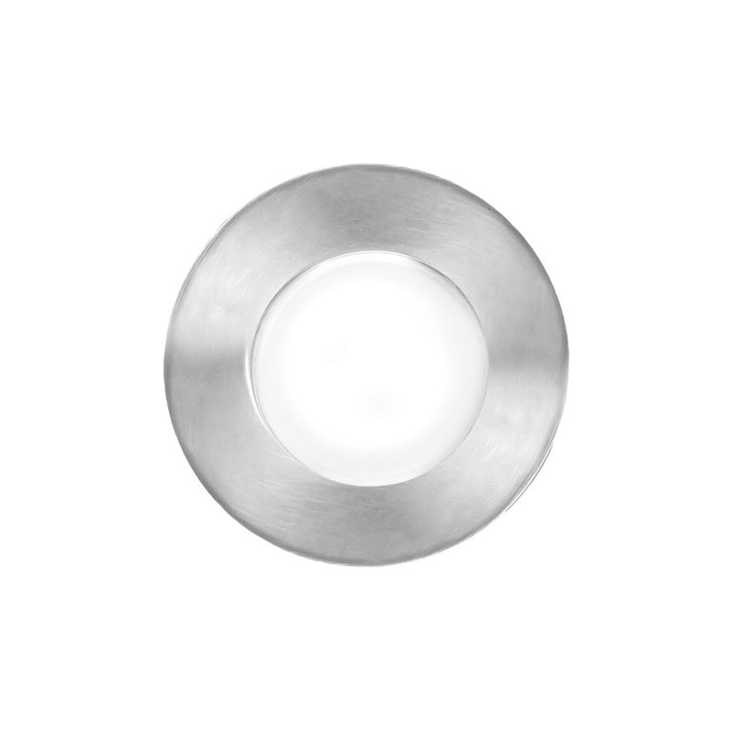 LED Well Light, Stainless Steel