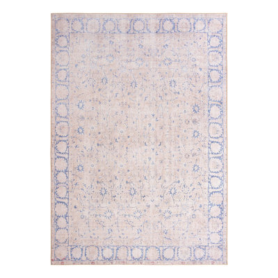 Sixtine Chenille Oriental Indoor Rug