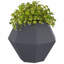  Planter Steel-1974654417-1974654419