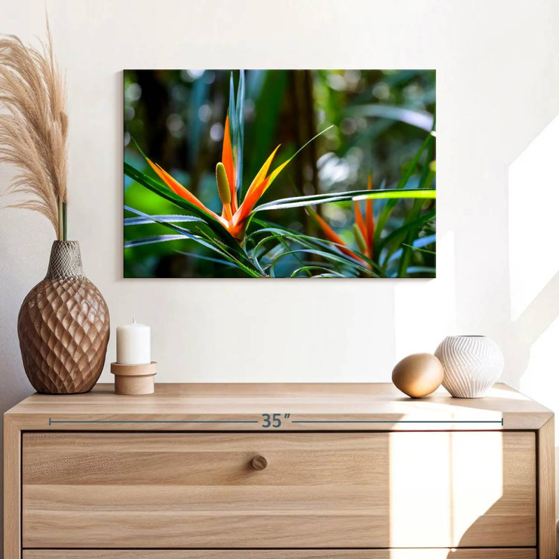 Harnek, oiseaux tropicaux du paradis, H 8 po x l 12 po
