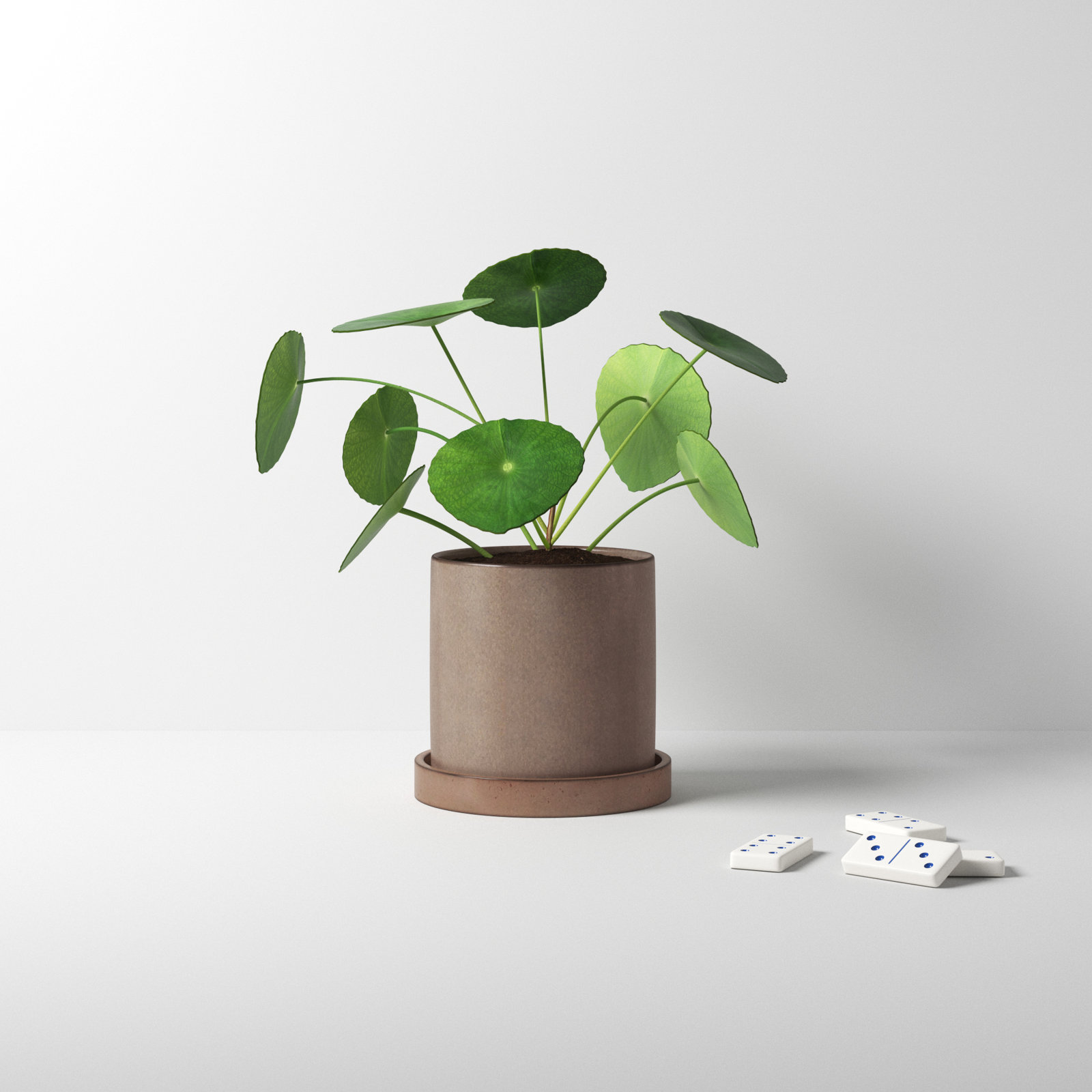 Tyron Ceramic Pot Planter, Tan, 5.5" H x 5" W x 5" D