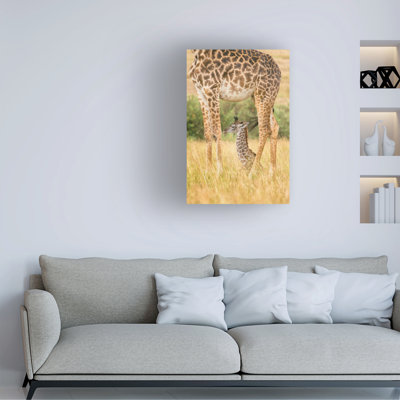 Bolog Mohammed Alnaser Guardian Canvas Art