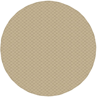 Indoor Rug